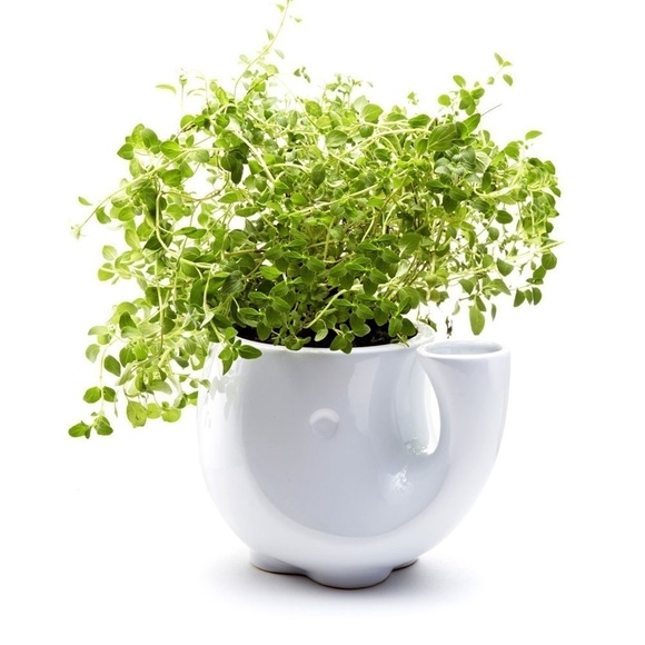 Scott Henderson Eleplanter self watering windowsill planter, ceramic, like new - Picture 6 of 6